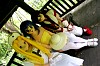 040815c01_tab.jpg