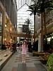 PC2100231.jpg