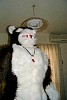 gaokun03.jpg
