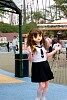 hj9h8313.jpg