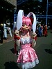 img154.jpg
