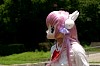 img306.jpg