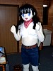 img329.jpg