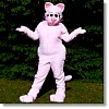kitty05_P.jpg