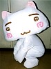 kotoro1.jpg