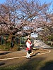 kr_IMG_1059.JPG