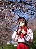 kr_IMG_1217.JPG