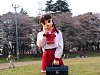 kr_IMG_1564.JPG