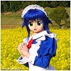 mahoro_nanohana.jpg