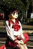 ym_IMG_1330.JPG
