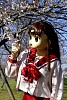 ym_IMG_1363.JPG