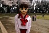 ym_IMG_1616.JPG