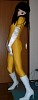 yzentai6.jpg